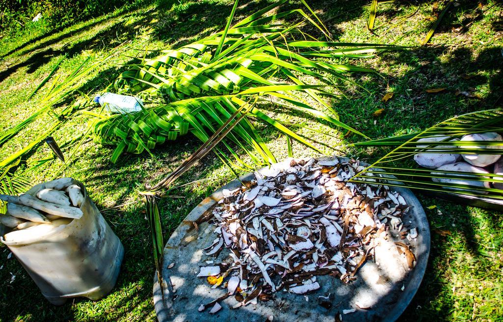 ホテル コラルビュー アイランド リゾート Tavewa Island エクステリア 写真